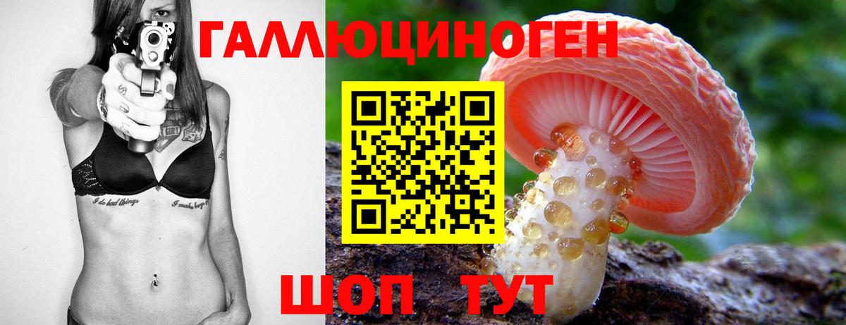 где купить наркоту  Галлюциногенные грибы Psilocybine cubensis  Вход с VPN  Асино 